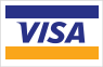 Visa Payment Card Logo